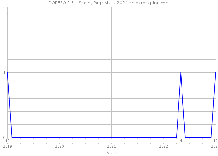 DOPESO 2 SL (Spain) Page visits 2024 