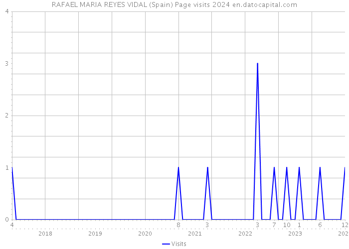 RAFAEL MARIA REYES VIDAL (Spain) Page visits 2024 