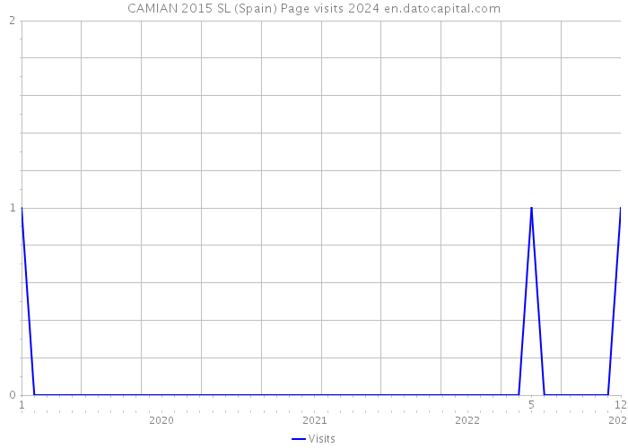 CAMIAN 2015 SL (Spain) Page visits 2024 