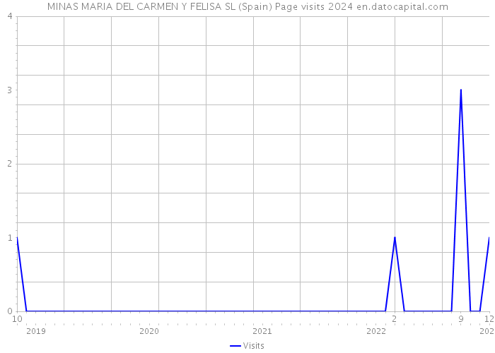 MINAS MARIA DEL CARMEN Y FELISA SL (Spain) Page visits 2024 