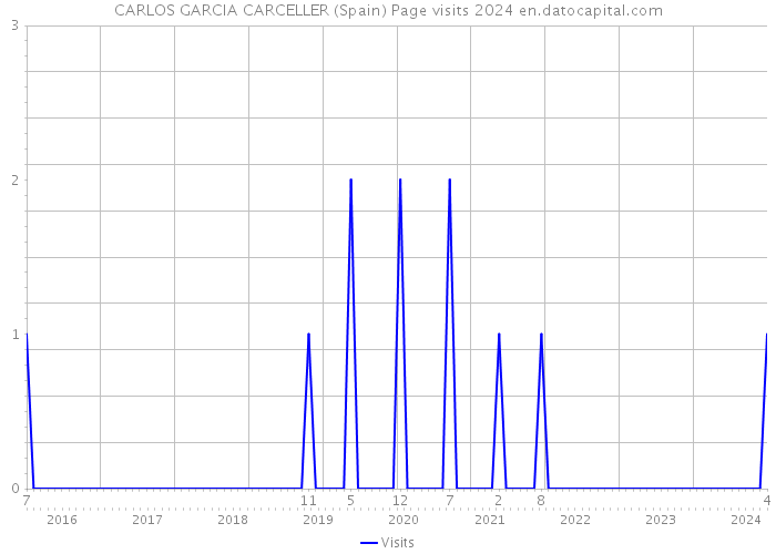 CARLOS GARCIA CARCELLER (Spain) Page visits 2024 