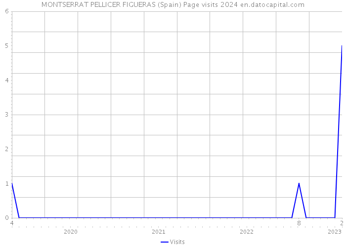 MONTSERRAT PELLICER FIGUERAS (Spain) Page visits 2024 