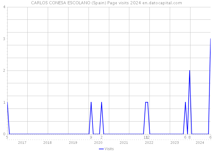 CARLOS CONESA ESCOLANO (Spain) Page visits 2024 