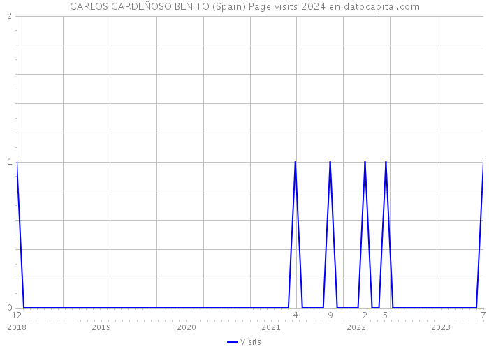 CARLOS CARDEÑOSO BENITO (Spain) Page visits 2024 