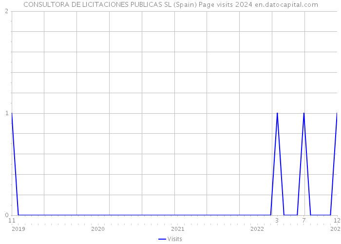 CONSULTORA DE LICITACIONES PUBLICAS SL (Spain) Page visits 2024 