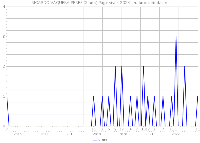 RICARDO VAQUERA PEREZ (Spain) Page visits 2024 