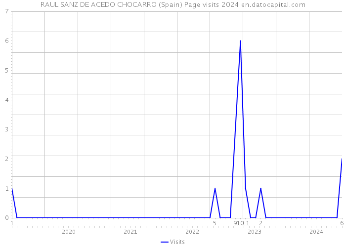 RAUL SANZ DE ACEDO CHOCARRO (Spain) Page visits 2024 