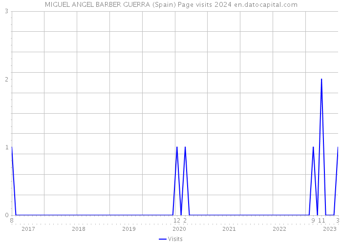 MIGUEL ANGEL BARBER GUERRA (Spain) Page visits 2024 