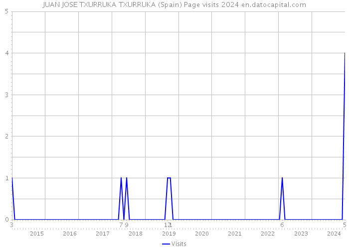 JUAN JOSE TXURRUKA TXURRUKA (Spain) Page visits 2024 