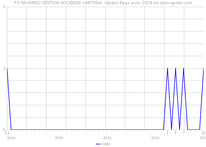 P3 NAVARRO GESTION SOCIEDAD LIMITADA. (Spain) Page visits 2024 