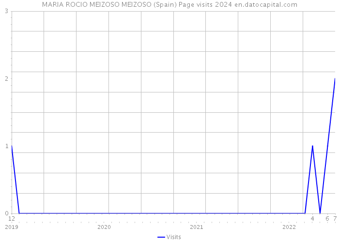 MARIA ROCIO MEIZOSO MEIZOSO (Spain) Page visits 2024 