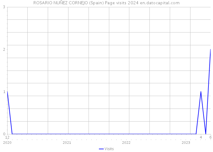 ROSARIO NUÑEZ CORNEJO (Spain) Page visits 2024 