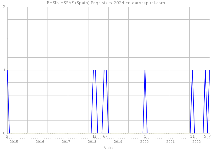 RASIN ASSAF (Spain) Page visits 2024 