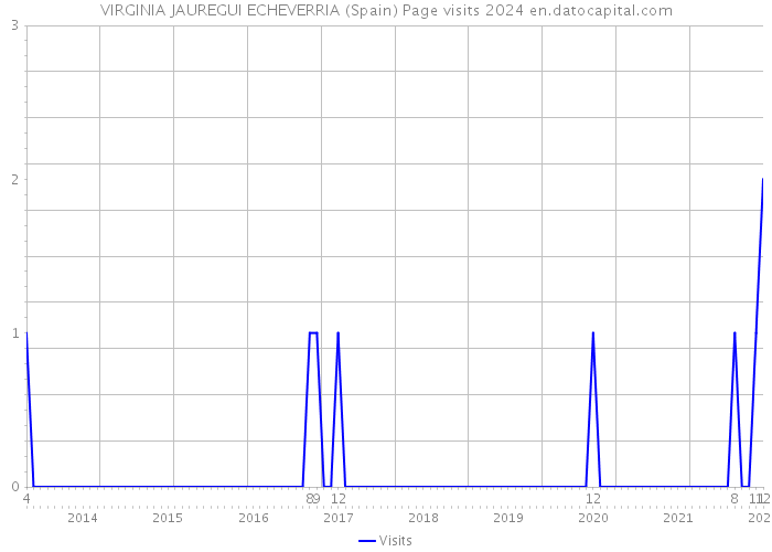 VIRGINIA JAUREGUI ECHEVERRIA (Spain) Page visits 2024 