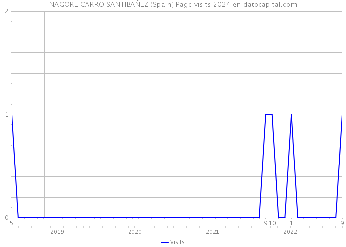 NAGORE CARRO SANTIBAÑEZ (Spain) Page visits 2024 