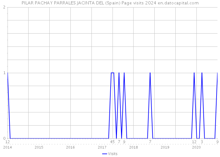 PILAR PACHAY PARRALES JACINTA DEL (Spain) Page visits 2024 