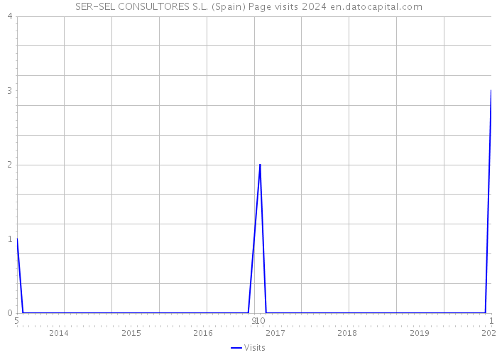 SER-SEL CONSULTORES S.L. (Spain) Page visits 2024 