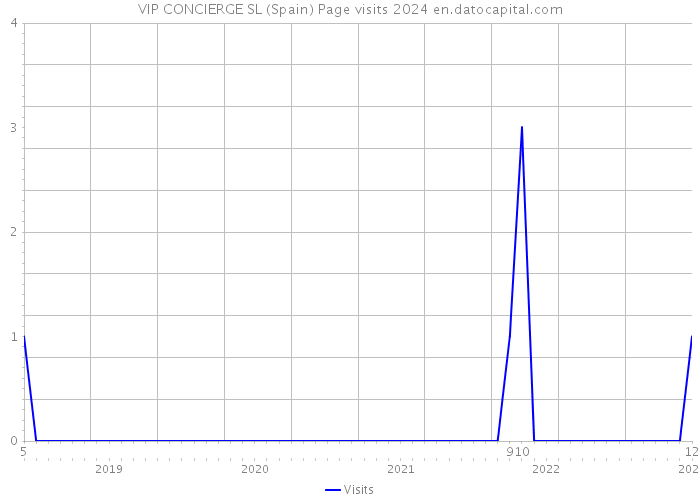 VIP CONCIERGE SL (Spain) Page visits 2024 