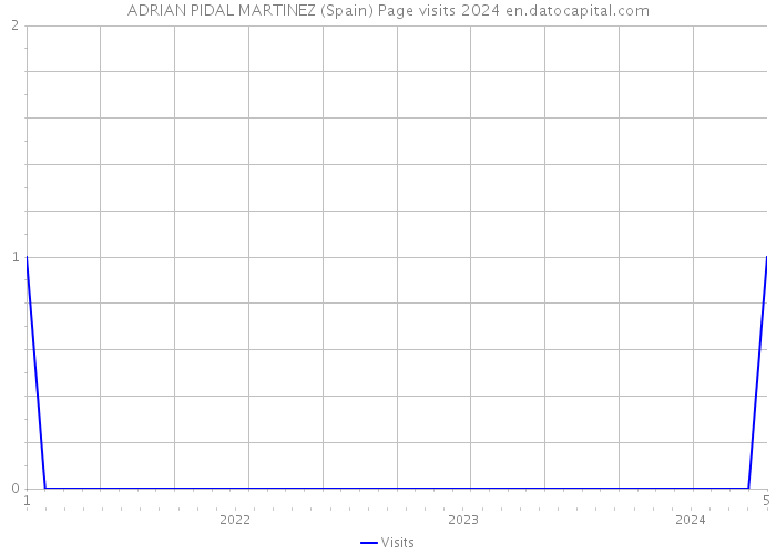 ADRIAN PIDAL MARTINEZ (Spain) Page visits 2024 