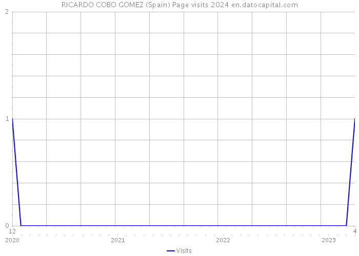 RICARDO COBO GOMEZ (Spain) Page visits 2024 