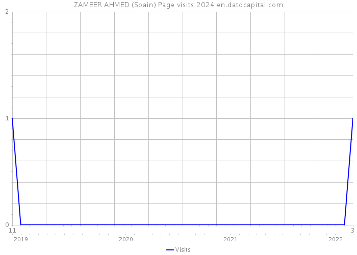 ZAMEER AHMED (Spain) Page visits 2024 