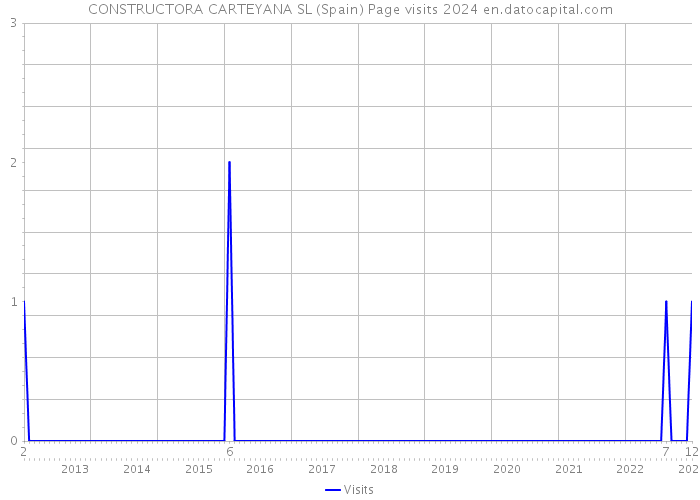 CONSTRUCTORA CARTEYANA SL (Spain) Page visits 2024 