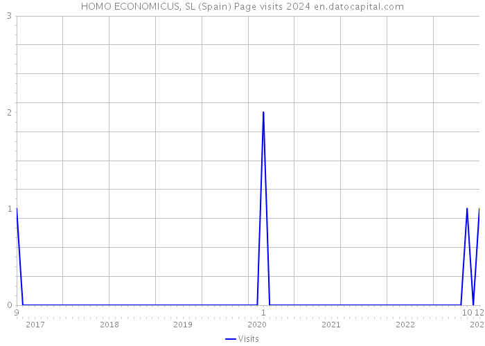 HOMO ECONOMICUS, SL (Spain) Page visits 2024 