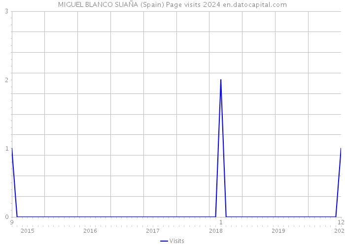MIGUEL BLANCO SUAÑA (Spain) Page visits 2024 