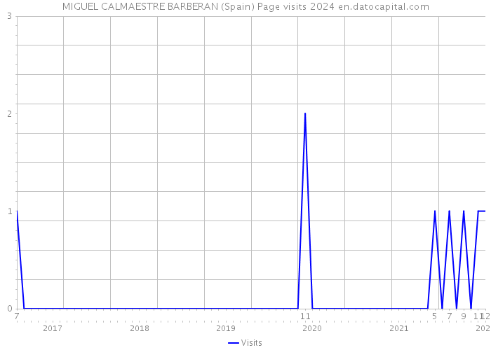 MIGUEL CALMAESTRE BARBERAN (Spain) Page visits 2024 