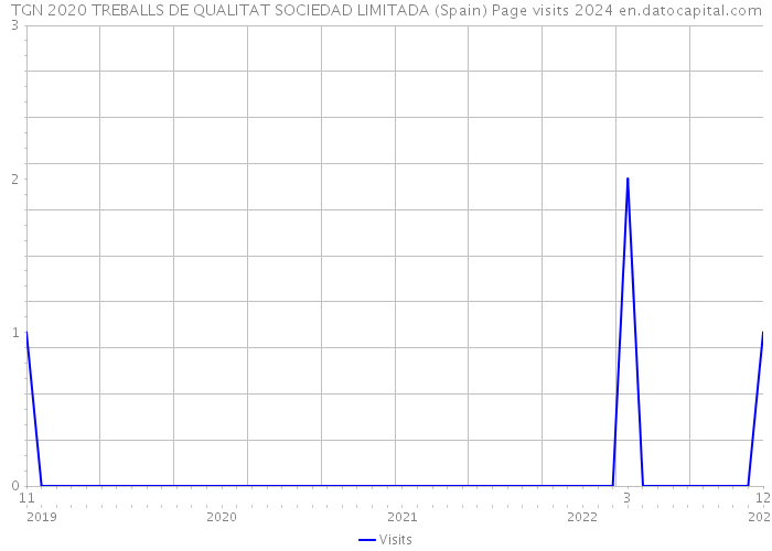 TGN 2020 TREBALLS DE QUALITAT SOCIEDAD LIMITADA (Spain) Page visits 2024 