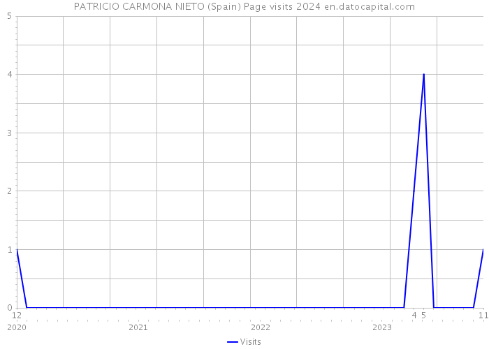 PATRICIO CARMONA NIETO (Spain) Page visits 2024 