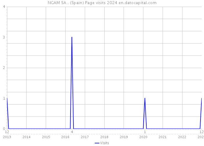 NGAM SA . (Spain) Page visits 2024 