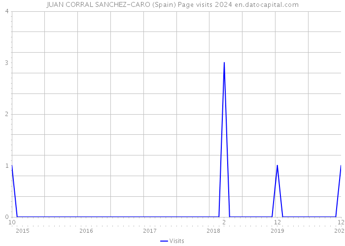 JUAN CORRAL SANCHEZ-CARO (Spain) Page visits 2024 