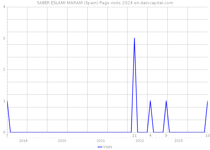 SABER ESLAMI MARAM (Spain) Page visits 2024 