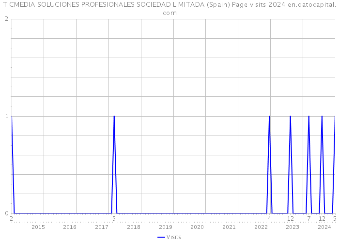 TICMEDIA SOLUCIONES PROFESIONALES SOCIEDAD LIMITADA (Spain) Page visits 2024 