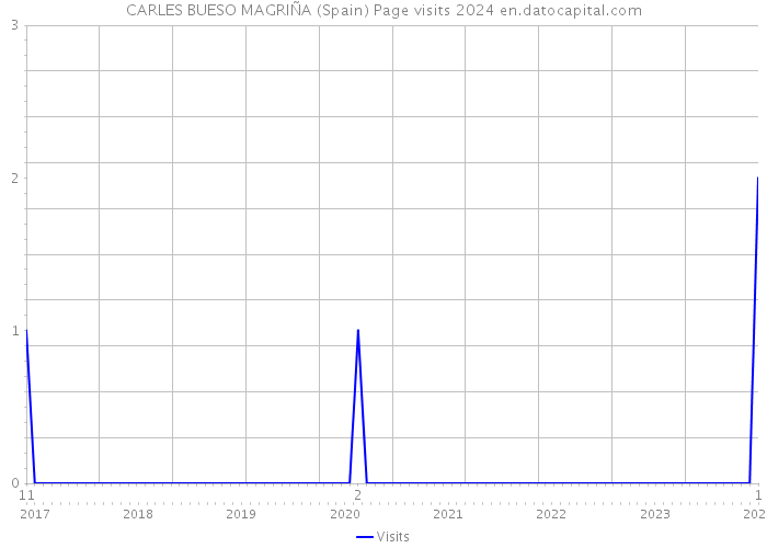 CARLES BUESO MAGRIÑA (Spain) Page visits 2024 