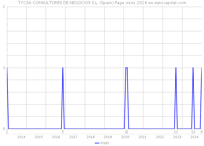 TYCSA CONSULTORES DE NEGOCIOS S.L. (Spain) Page visits 2024 