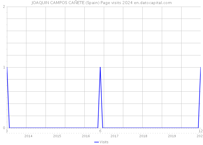 JOAQUIN CAMPOS CAÑETE (Spain) Page visits 2024 