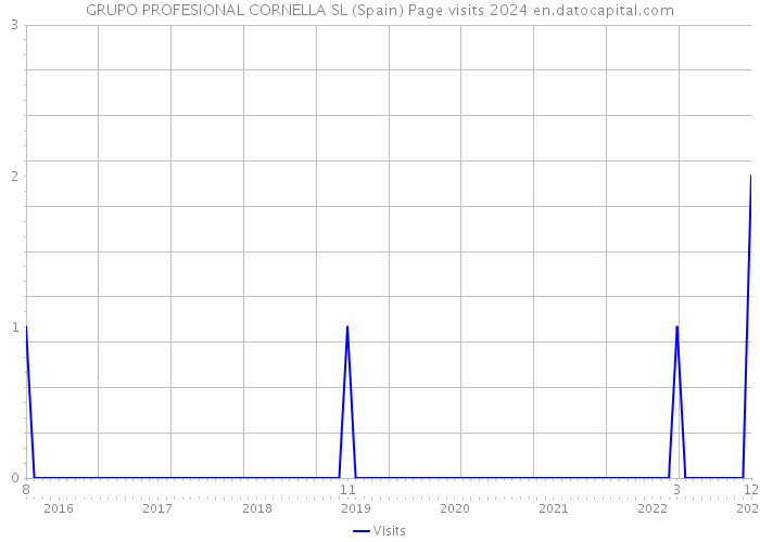 GRUPO PROFESIONAL CORNELLA SL (Spain) Page visits 2024 