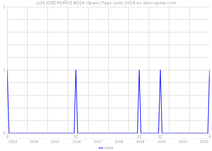 LUIS JOSE MUÑOZ BOZA (Spain) Page visits 2024 