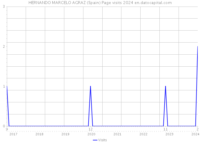 HERNANDO MARCELO AGRAZ (Spain) Page visits 2024 