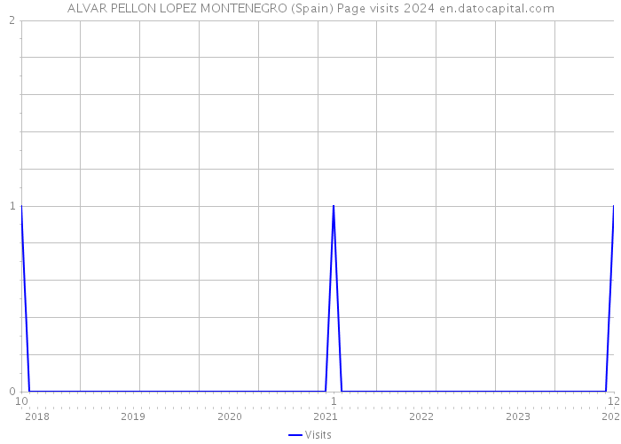 ALVAR PELLON LOPEZ MONTENEGRO (Spain) Page visits 2024 