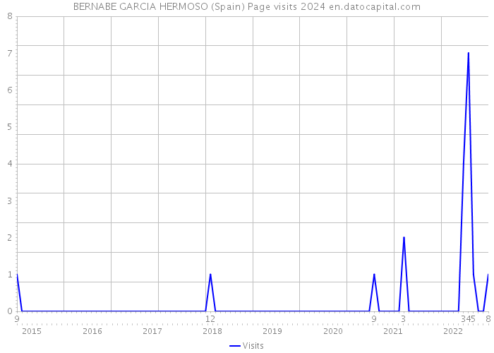 BERNABE GARCIA HERMOSO (Spain) Page visits 2024 