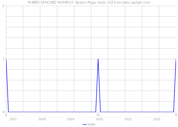 RUBEN SANCHEZ MONROY (Spain) Page visits 2024 