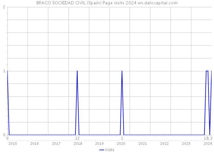 BRACO SOCIEDAD CIVIL (Spain) Page visits 2024 