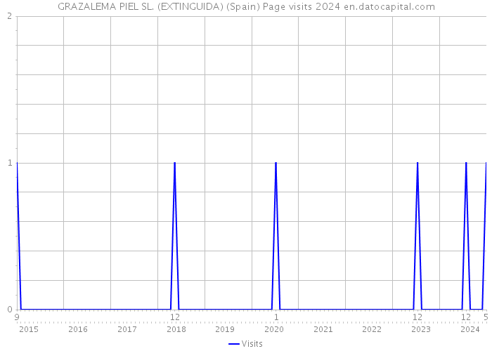 GRAZALEMA PIEL SL. (EXTINGUIDA) (Spain) Page visits 2024 