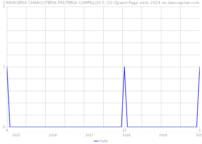CARNICERIA CHARCUTERIA FRUTERIA CAMPILLOS S. CO (Spain) Page visits 2024 
