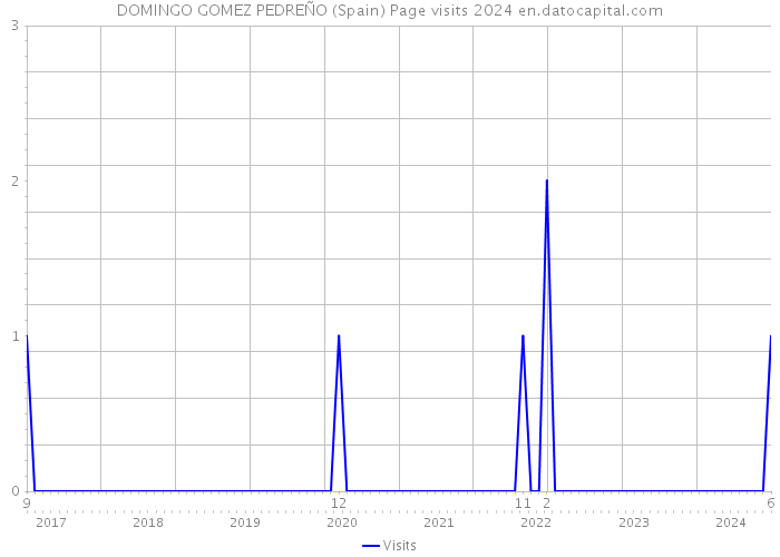 DOMINGO GOMEZ PEDREÑO (Spain) Page visits 2024 