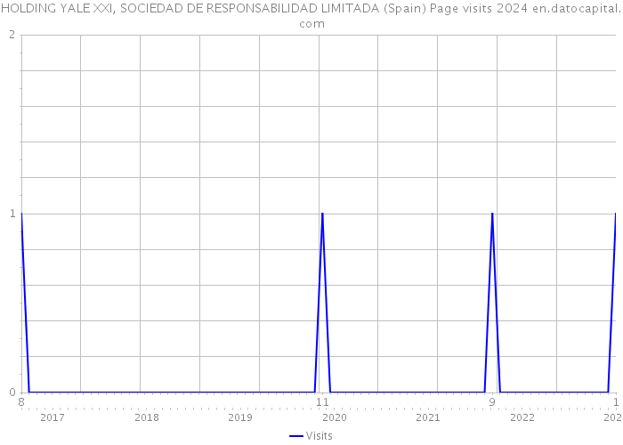 HOLDING YALE XXI, SOCIEDAD DE RESPONSABILIDAD LIMITADA (Spain) Page visits 2024 