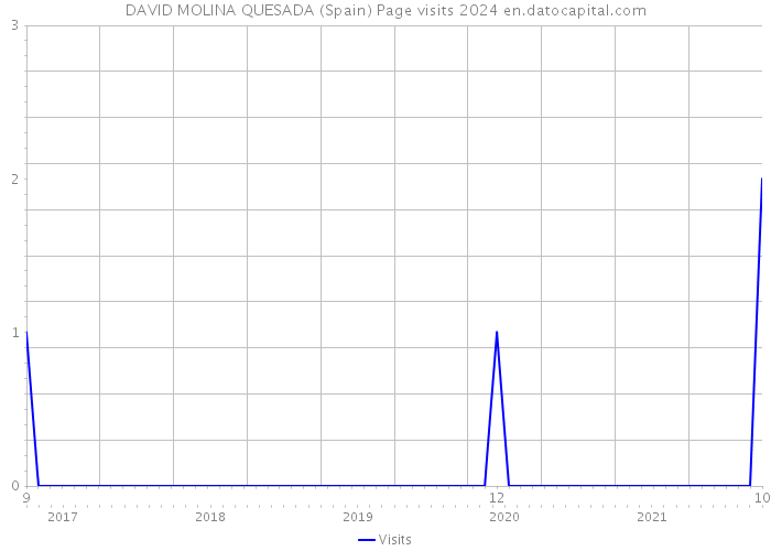 DAVID MOLINA QUESADA (Spain) Page visits 2024 